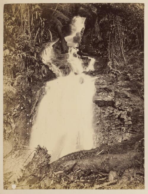 Waterfall in Sassafras Creek [?], Victoria, ca. 1880 [picture]