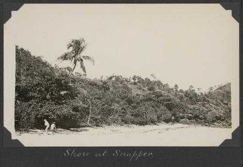 The shore at Snapper Island, Queensland, ca. 1928 [picture] / Charles Maurice Yonge