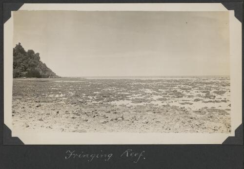 Fringing reef on Snapper Island, Queensland, ca. 1928 [picture] / Charles Maurice Yonge