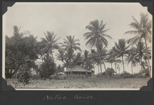 House amongst the palm trees at Yarrabah, Queensland, ca. 1928 [picture] / Charles Maurice Yonge