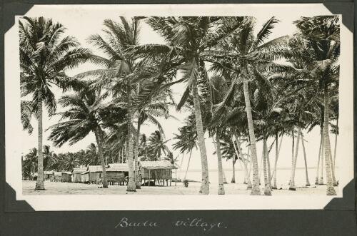 The village seen through the palms, Badu Island, Queensland, ca. 1928 [picture] / Charles Maurice Yonge