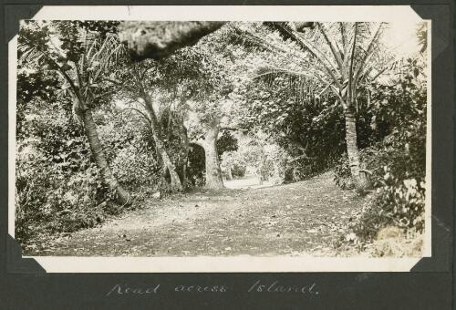Road across the island, Meer Island, Queensland, ca. 1928 [picture] / Charles Maurice Yonge