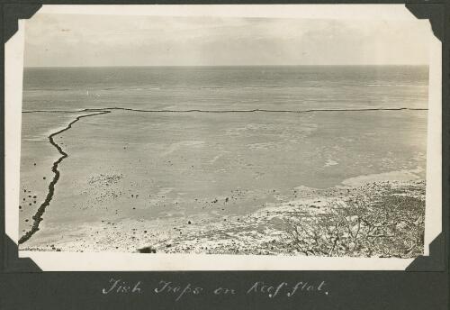 Fish traps on the reef flat, Meer Island, Queensland, ca. 1928 [picture] / Charles Maurice Yonge