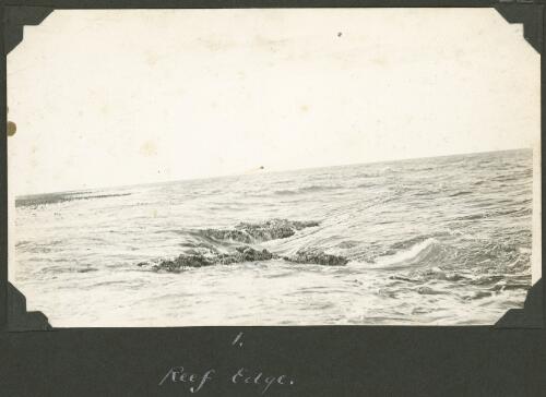 The reef edge, Meer Island, Queensland, ca. 1928 [1] [picture] / Charles Maurice Yonge