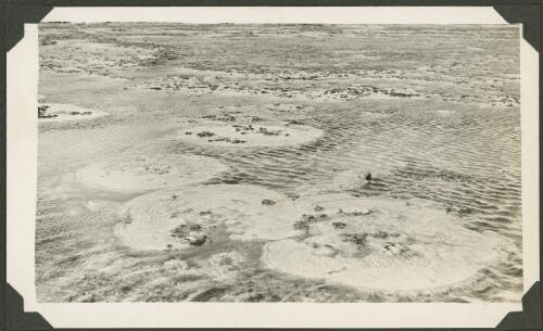 Lagoon within the ridge, Meer Island, Queensland, ca. 1928 [2] [picture] / Charles Maurice Yonge
