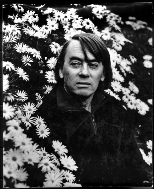 [John Perceval surrounded by a daisy bush, 1973] [picture] / Sue Ford