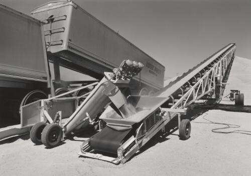 Murtoa - covering wheat receival at bunker using drive-over hopper [picture] / Ian Hill