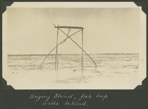 Dugong stand with fish trap walls behind, Meer Island, Queensland, ca. 1928 [picture] / Charles Maurice Yonge