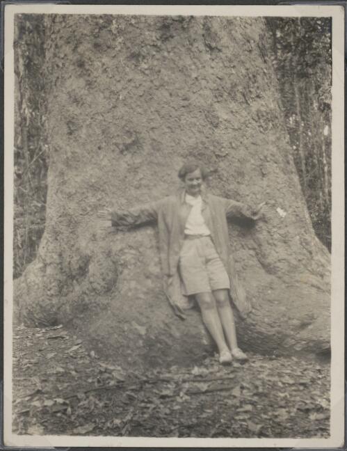 Mattie Yonge stands at the base of a tree to show the size of the trunk, Queensland, ca. 1928 [picture] / C.M. Yonge