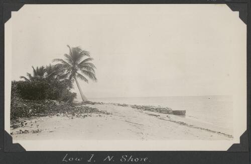 North shore, Low Islands, Queensland, ca. 1928 [picture] / C.M. Yonge