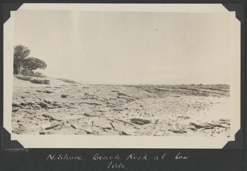 Beach rock on the north shore exposed at low tide, Low Islands, Queensland, ca. 1928 [picture] / C.M. Yonge