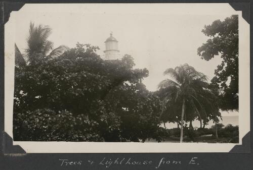 Trees and lighthouse from the east, Low Islands, Queensland, ca. 1928 [picture] / C.M. Yonge