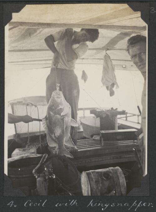 Cecil with a kingsnapper, Queensland, ca. 1928 [picture] / C.M. Yonge