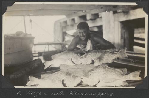 Vidgen with kingsnappers, Queensland, ca. 1928 [picture] / C.M. Yonge