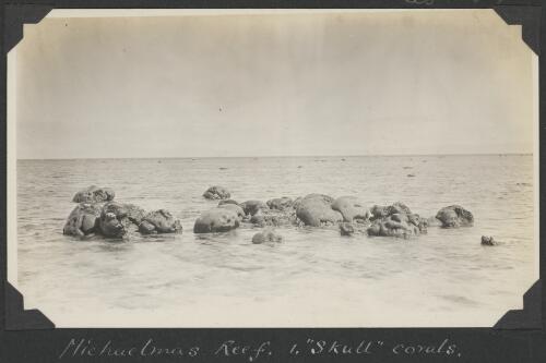 Skull corals, Michaelmas Cay, Queensland, ca. 1928 [picture] / C.M. Yonge