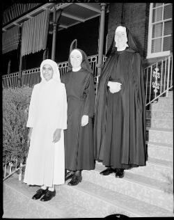 Three nuns of the Little Sisters of the Poor model their new habits ...