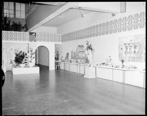View of camellias on show at the Farmers' Blaxland Gallery, Sydney, 29 July, 1968 [1] [picture] / John Mulligan