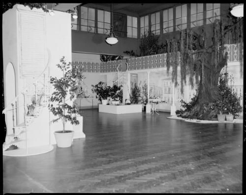 View of the camellia showroom with a decorative staircase and an artificial tree at the Farmers' Blaxland Gallery, Sydney, 29 July, 1968 [picture] / John Mulligan