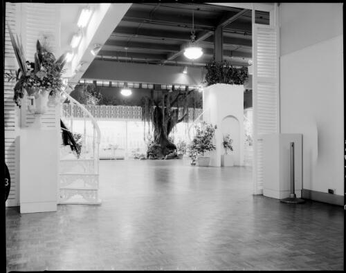 View of the entrance to the camellia showroom with a decorative staircase and an artificial tree in the background at the Farmers' Blaxland Gallery, Sydney, 29 July, 1968 [picture] / John Mulligan
