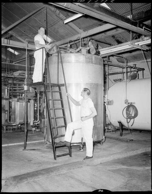 [Two unidentified workers at the Kraft Yeast Plant, Alexandria, 9 September, 1968] [picture] / John Mulligan