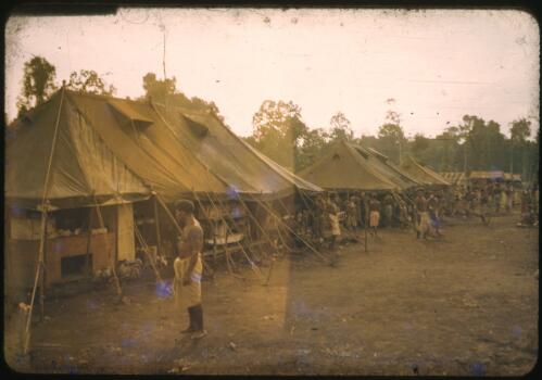 Emergency hospital at Popondetta, Papua New Guinea, 1951 [transparency] / Albert Speer