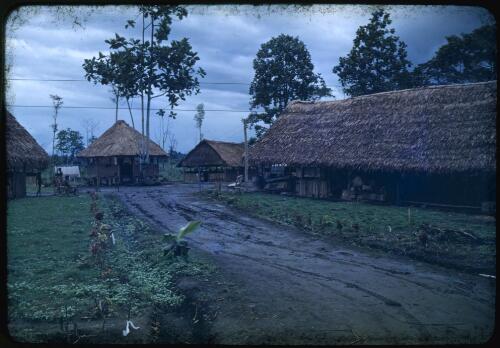 Entrance to the hospital at Saiho, Papua New Guinea, 1951 [transparency] / Albert Speer