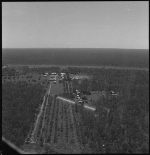 Aerial view of unidentified settlement, Bathurst and Melville Islands, Northern Territory [2] [picture] / John Mulligan