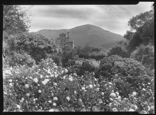 Cascade Gardens, Hobart [picture] / Spurling