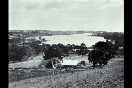 Devonport (from the South) [picture] / Spurling