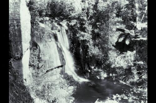 Lilydale Falls [picture] / Spurling