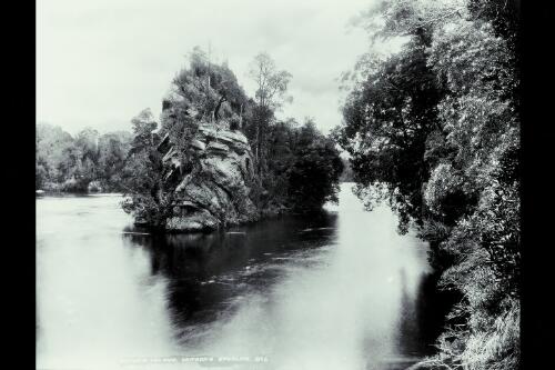 Gordon River, Butler Island, 1906 [picture] / Spurling