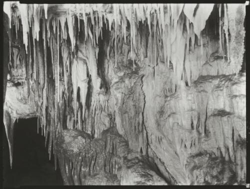 Ulverstone caves [picture] / Spurling