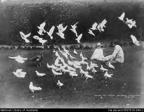 Feeding the Pigeons, Cataract Gorge, 1924 [picture] / Spurling