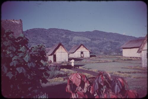 Our house Minj Station, Wahgi Valley, Papua New Guinea, 1954 [picture] / Terence and Margaret Spencer