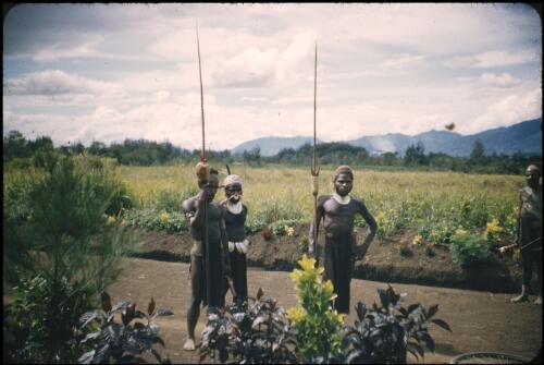 Passers-by Minj Station, Wahgi Valley, Papua New Guinea, 1954 [picture] / Terence and Margaret Spencer