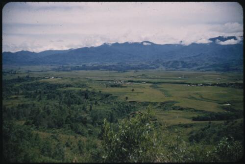 Minj Station, showing the airstrip Minj Station, Wahgi Valley, Papua New Guinea, 1954 [picture] / Terence and Margaret Spencer