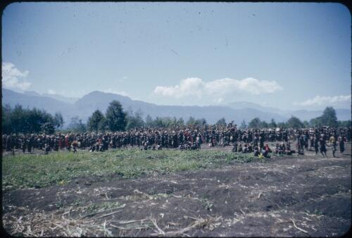 New Year's Day festivities at Minj Station, 1955 Minj Station, Wahgi Valley, Papua New Guinea, 1954 [picture] / Terence and Margaret Spencer