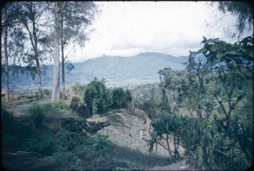 Singsing villages, a high fence in the foreground : Wahgi Valley, Papua New Guinea, 1954 and 1955 [picture] / Terence and Margaret Spencer