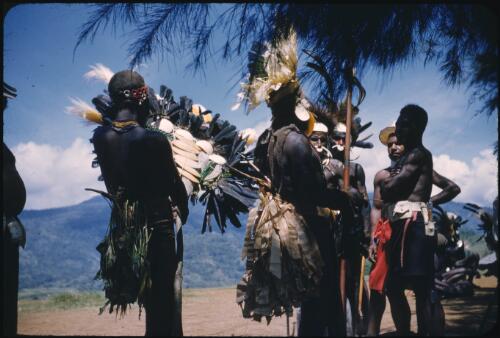 Wedding ceremony: waiting near the airstrip, the bride price Wahgi Valley, Papua New Guinea, 1955 [picture] / Terence and Margaret Spencer