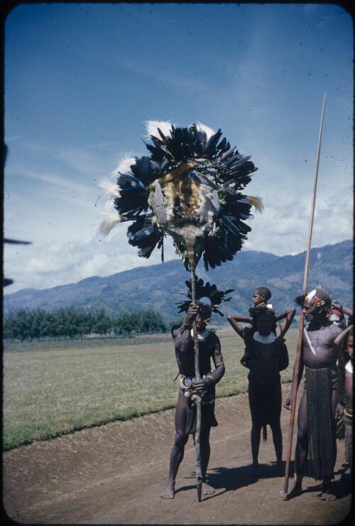 The bride payment, back view Wahgi Valley, Papua New Guinea, 1955 [picture] / Terence and Margaret Spencer