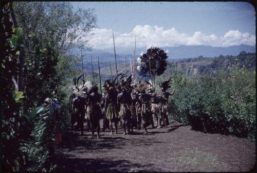 We proceed along the road to Nondugl Wahgi Valley, Papua New Guinea, 1955 [picture] / Terence and Margaret Spencer