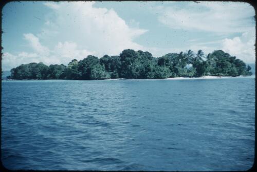 Looking towards Rogeia Island, close up view, Milne Bay Samarai, D'Entrecasteaux Islands, Papua New Guinea, June 1956 [picture] / Terence and Margaret Spencer
