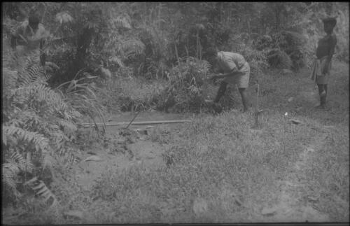 Frank Weston Seboda, Malaria Control Assistant, collecting anopheline larvae from a pig wallow Mapamoiwa Station, D'Entrecasteaux Islands, Papua New Guinea, 1956-1959 [picture] / Terence and Margaret Spencer