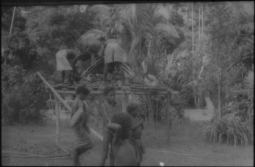 Harvest preparation (1) Fergusson Island, D'Entrecasteaux Islands, Papua New Guinea, 1956-1958 [picture] / Terence and Margaret Spencer