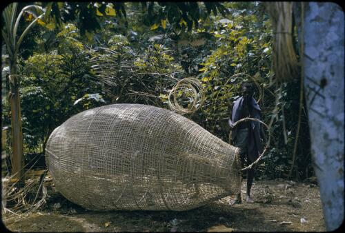 Tolai fish trap Rabaul, New Britain, Papua New Guinea, 1960-1961 [picture] / Terence and Margaret Spencer