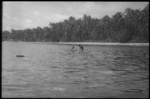 A boy learns to control a canoe, distant view Carteret Islands, Papua New Guinea, 1960 [picture] / Terence and Margaret Spencer