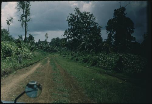 Wewak-Maprik road (2) Wewak-Maprik, Papua New Guinea,1959 [picture] / Terence and Margaret Spencer