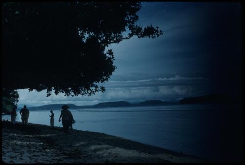 View from the beach Buka Island, Bouganville, Papua New Guinea, 1960 [picture] / Terence and Margaret Spencer