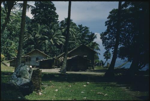 Houses (3) Buka Island, Bougainville, Papua New Guinea, 1960 [picture] / Terence and Margaret Spencer