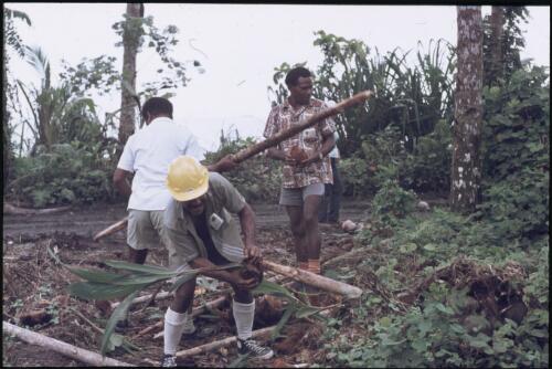 Our assistants collecting fallen coconuts (Jonathan Baloiloi, Adi'loi'i'nana (Joe) Ia'ia'mina and Hubert Murray Kirata) Bougainville Island, Papua New Guinea, March 1971 [picture] / Terence and Margaret Spencer
